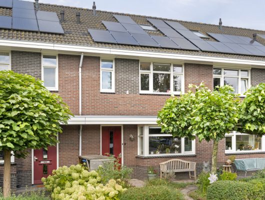 Hoofdfoto van Meppel Kotter 45