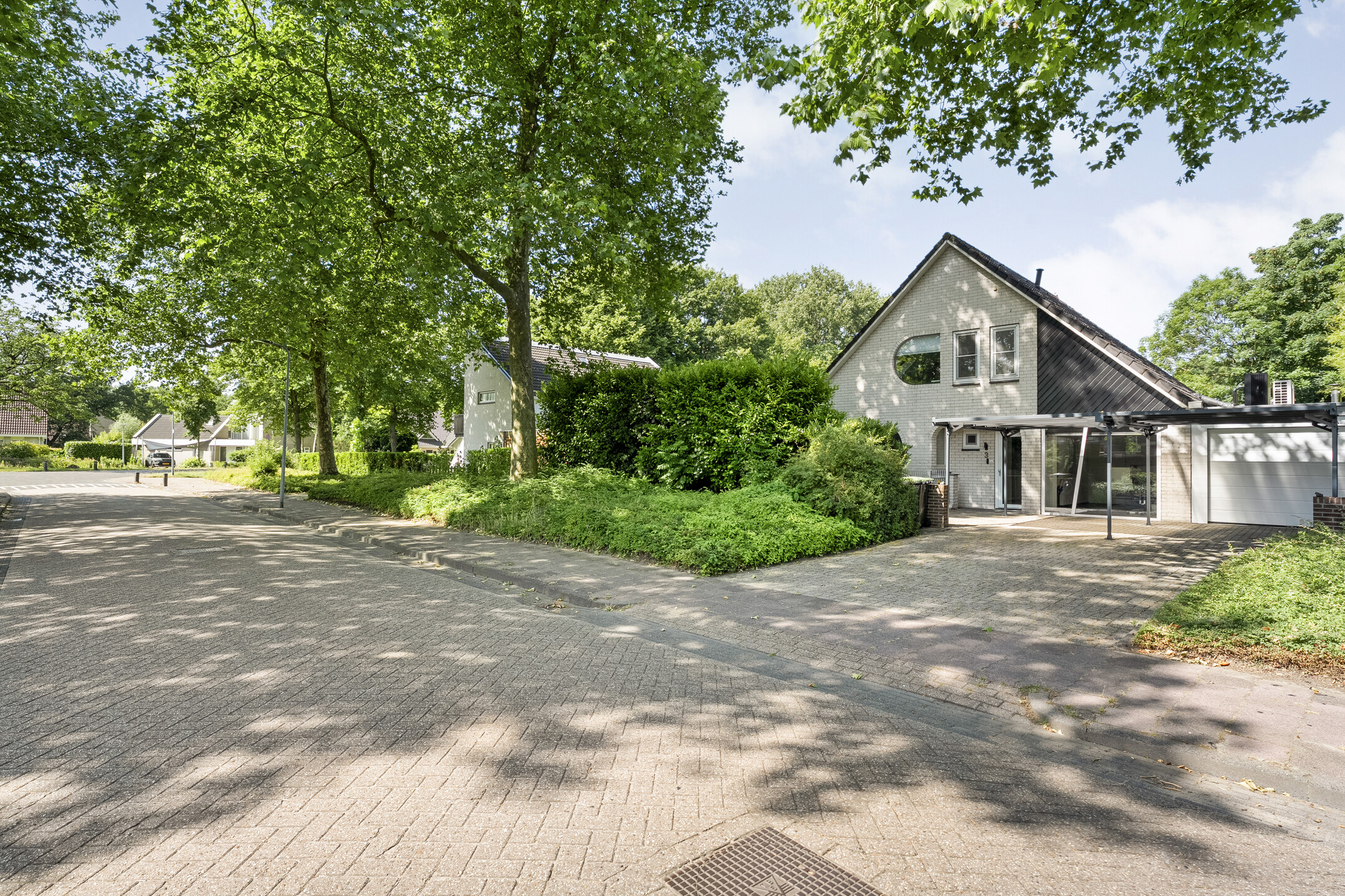 koop  Meppel  Citroenvlinder 3 – Foto 28