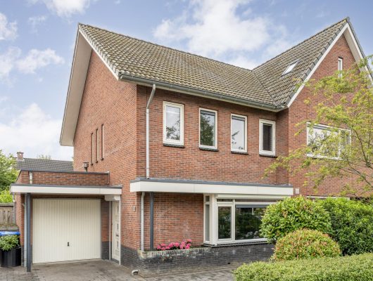 Hoofdfoto van Meppel Leeuwentand 13