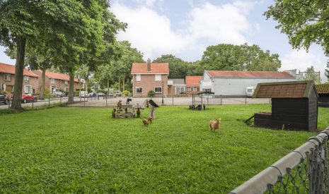 Te koop: Foto Woonhuis aan de Wolddijk 6 in Meppel