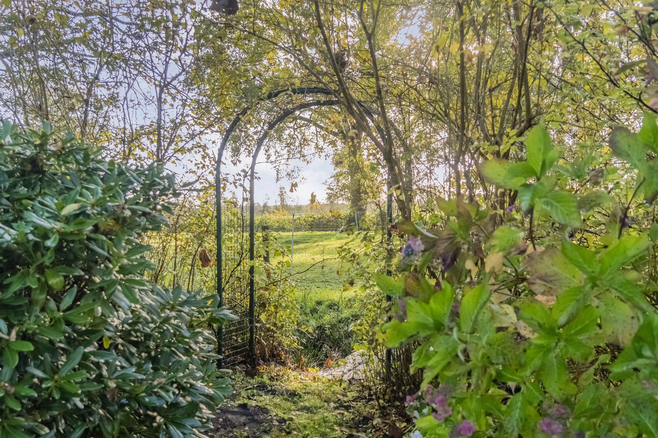 Te koop: Foto Woonhuis aan de Weerwilleweg 34 in Koekange