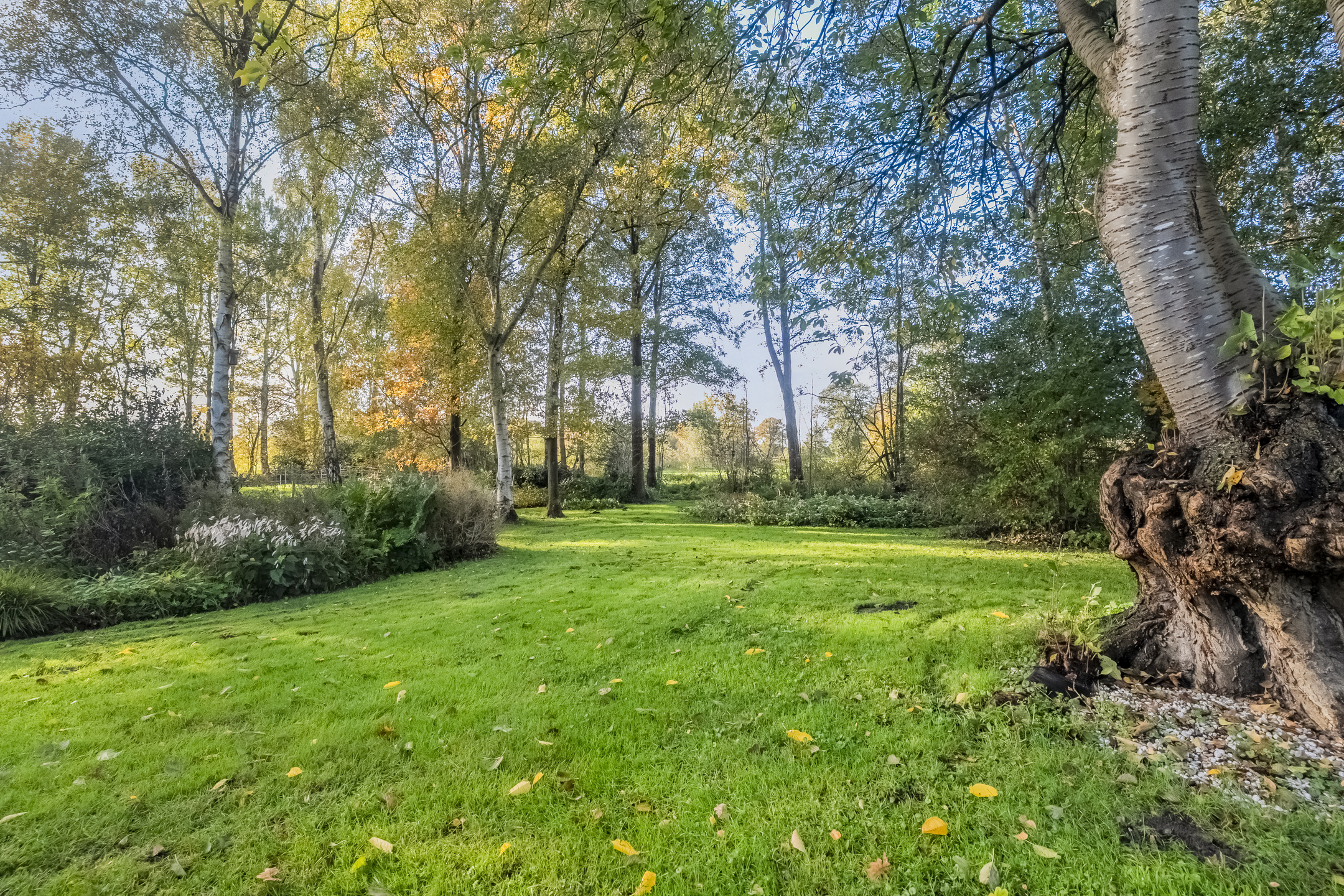 Te koop: Foto Woonhuis aan de Weerwilleweg 34 in Koekange