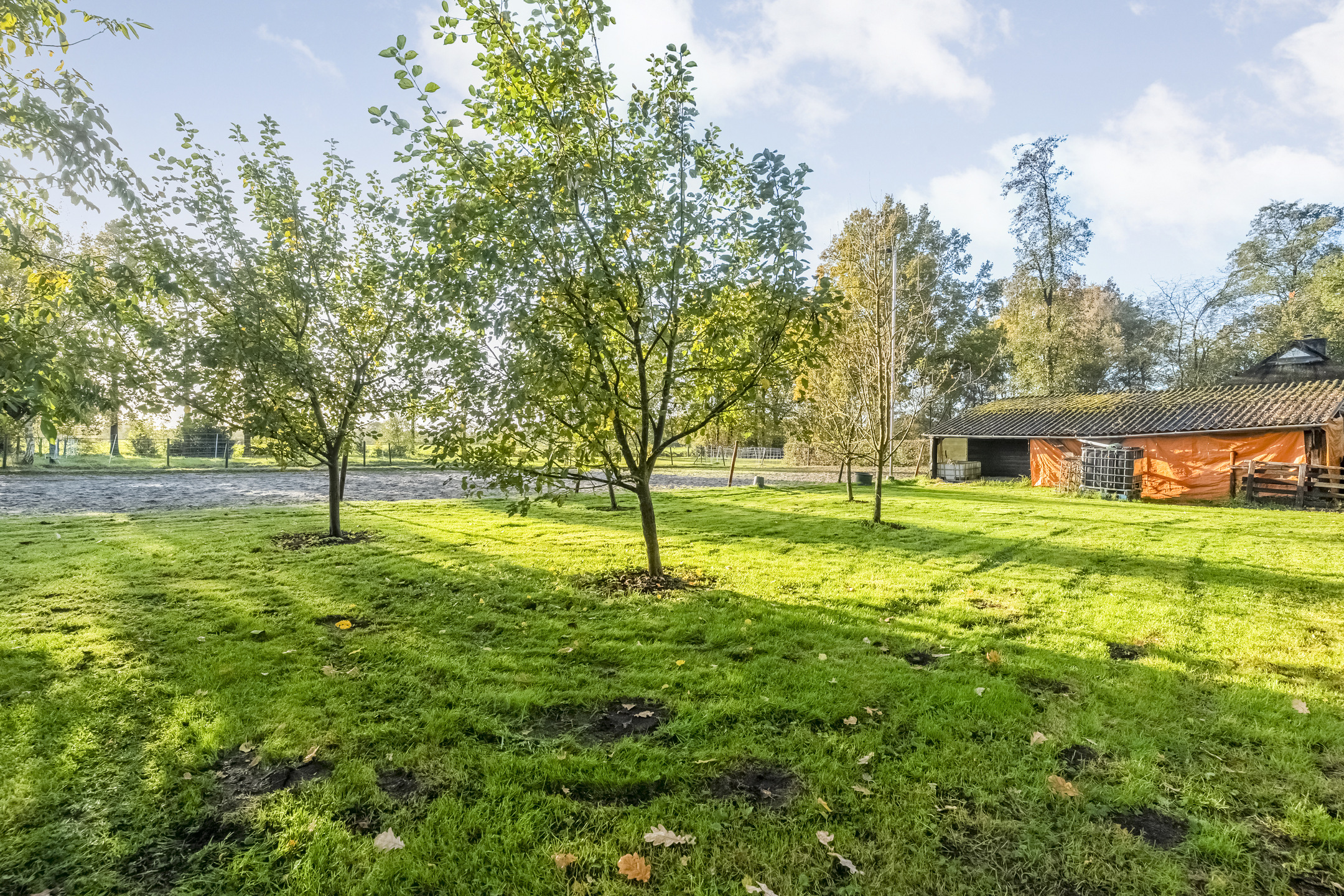 Te koop: Foto Woonhuis aan de Weerwilleweg 34 in Koekange